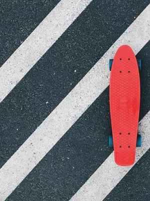 Image of: Cruiser Skateboard