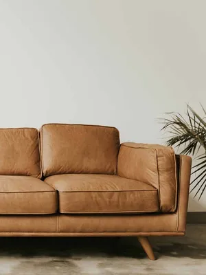 Image of: Leather Sofa