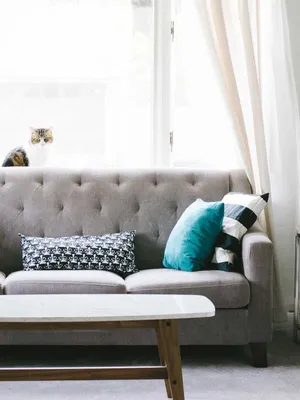 Image of: Grey Fabric Sofa