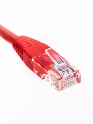 Image of: Ethernet Cable