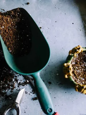 Image of: Hand Trowel