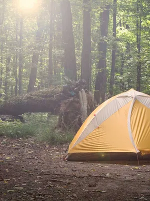Image of: Tent